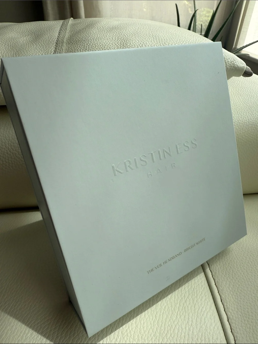 Kristin Ess Veil Headband Bright White